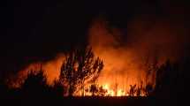 Imagen de Incendios y cortes de energía generó el temporal de viento y lluvia en Roca