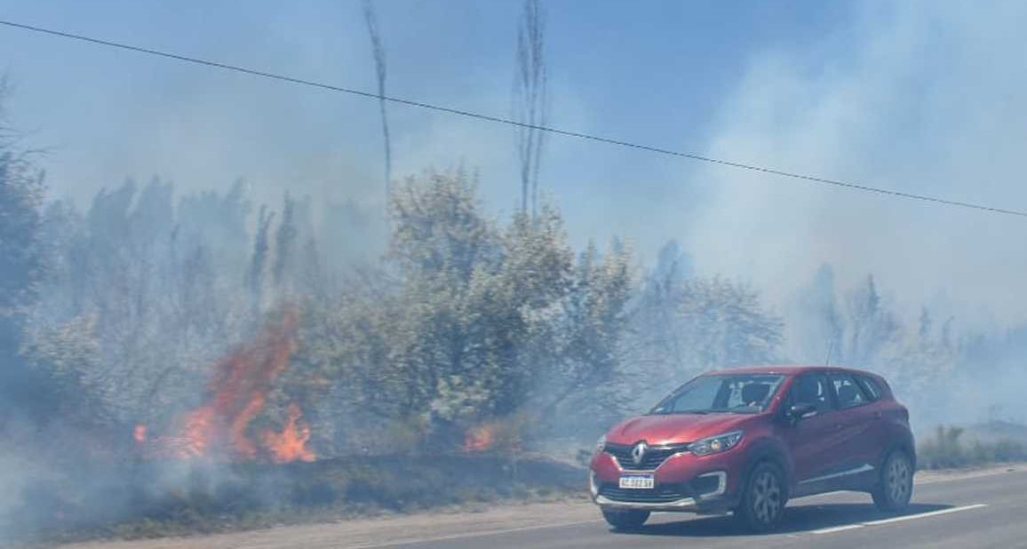 Cerca de las 14, la visibilidad era muy escasa en la zona de J.J. Gómez. (foto: Juan Thomes)