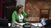 Imagen de Consejo de la Magistratura: tensión en Diputados por la decisión que tomó Cecilia Moreau