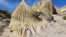 Imagen de Cuáles son las pruebas de que hubo monos en la Patagonia hace 17 millones de años