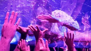 Fuerza Bruta canceló su show de diciembre en Neuquén: qué pasa con las entradas