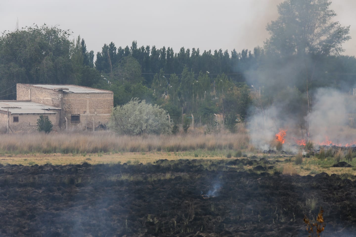 El fuego afectó una chacra que ya se había quemado en la noche del lunes. (Fotos Juan Thomes)