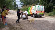 Imagen de Impresionante operativo en Roca: detuvieron al conductor de un auto que portaba un arma de fuego