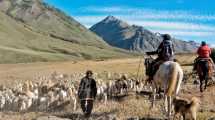 Imagen de El plan más emocionante para el finde largo en la Patagonia: los arreos en el norte neuquino