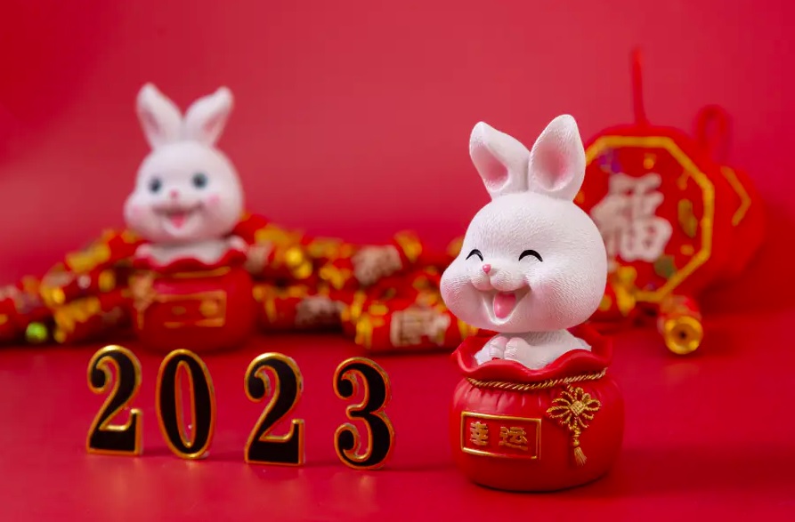  Calendario chino 2023 de tamaño mediano - para el año del  conejo - Los animales del zodiaco feliz te traen buena salud y buena  suerte durante todo el año - Medidas