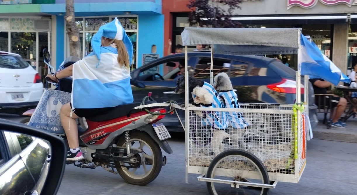 Argentina está en octavos: tres perritos formaron parte de la caravana en Roca. 