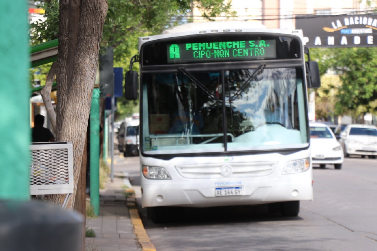 El servicio de trasporte se suspende  el domingo en Cipolletti. Foto: Gentileza. 