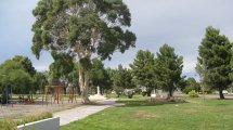 Imagen de Por cada bebé que nazca en la capital del Chubut, su familia recibirá un árbol