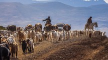 Imagen de El lento adiós a la trashumancia: ¿una cultura en extinción?