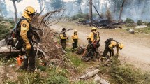 Imagen de Incendio forestal en Tierra del Fuego: contienen las llamas en la reserva natural y llegaron más brigadistas