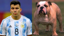 Imagen de El divertido hilo de Twitter que compara jugadores de la Selección con perros