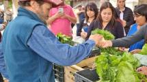 Imagen de Productores hortícolas de Comallo cerraron el año con saldo muy positivo