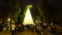 Imagen de Plaza Huincul ya tiene el árbol de navidad iluminado