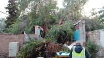 Imagen de Un árbol cayó sobre un dormitorio donde había niños, durante la tormenta en Neuquén