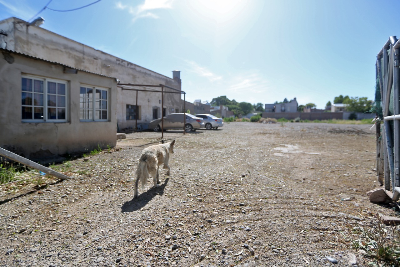 El predio donde se iba a construir la terminal está sobre el acceso Martín Fierro, cerca de la rotonda de la Ruta 65. Foto Juan Thomes