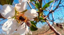 Imagen de Por qué la biodiversidad está en la mira de Naciones Unidas