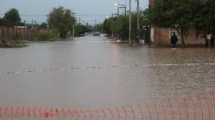 Imagen de La lluvia dejó árboles caídos, inundaciones y familias evacuadas en Neuquén