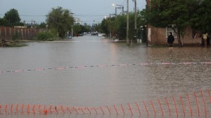 La lluvia dejó árboles caídos, inundaciones y familias evacuadas en Neuquén