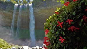 Reabren hoy los senderos de trekking y paseos a las cascadas del paso Cardenal Samoré