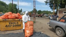 Imagen de Recolectaron más de 29 mil envases de agroquímicos en el Alto Valle para su reciclado