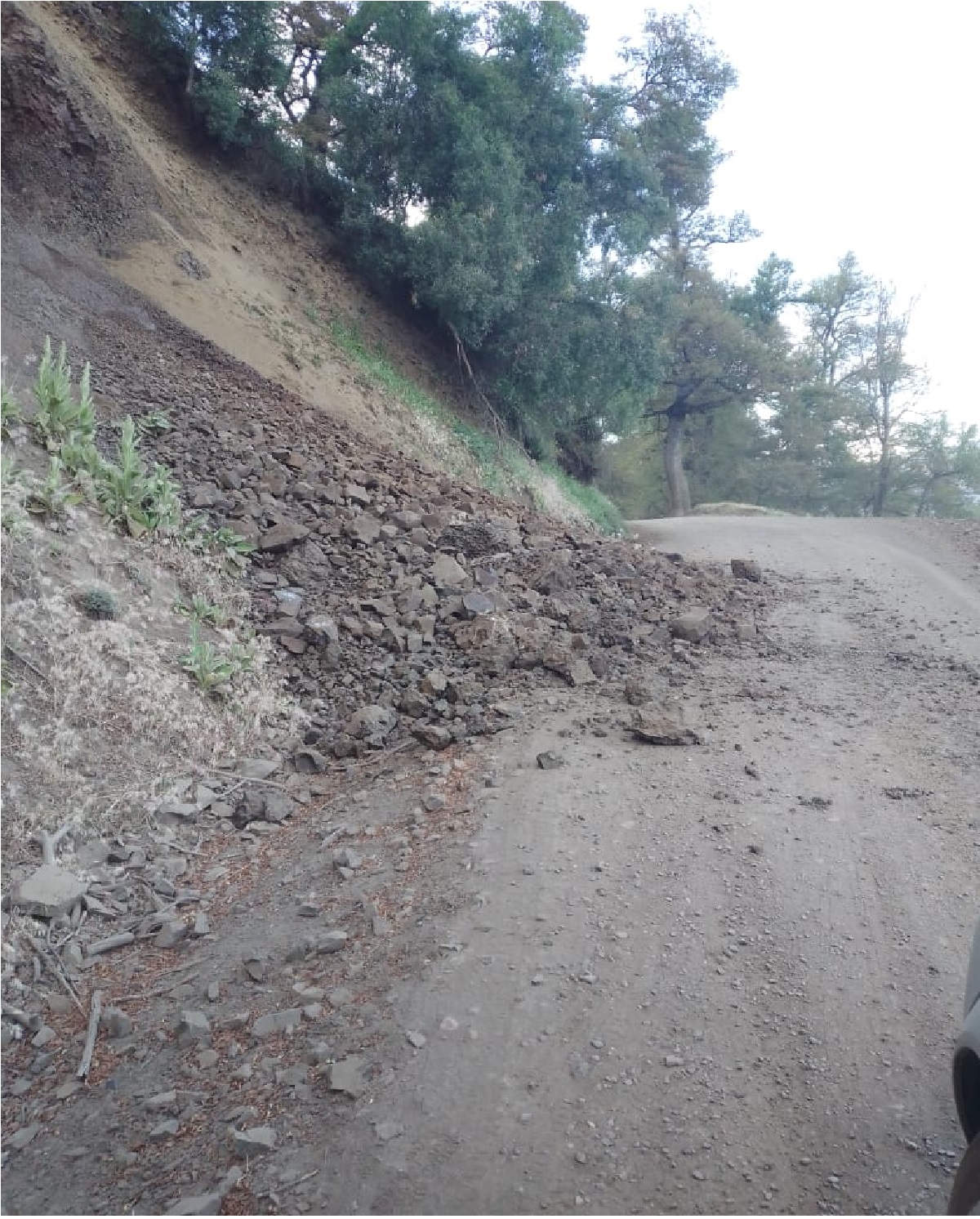 El camino quedó habilitado con media calzada. Foto: Facebook Parque Nacional Lanín