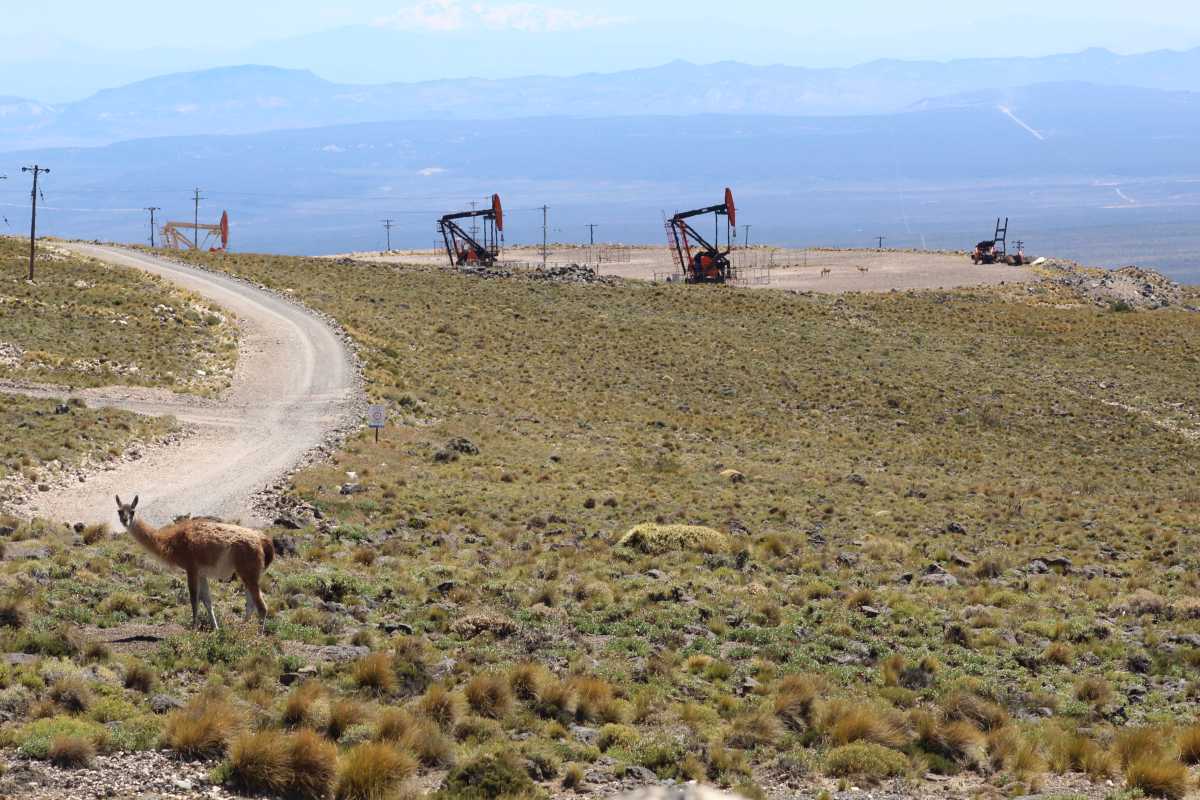 El sismo se registró cerca de Rincón de los Sauces (Foto archivo ILUSTRATIVA)