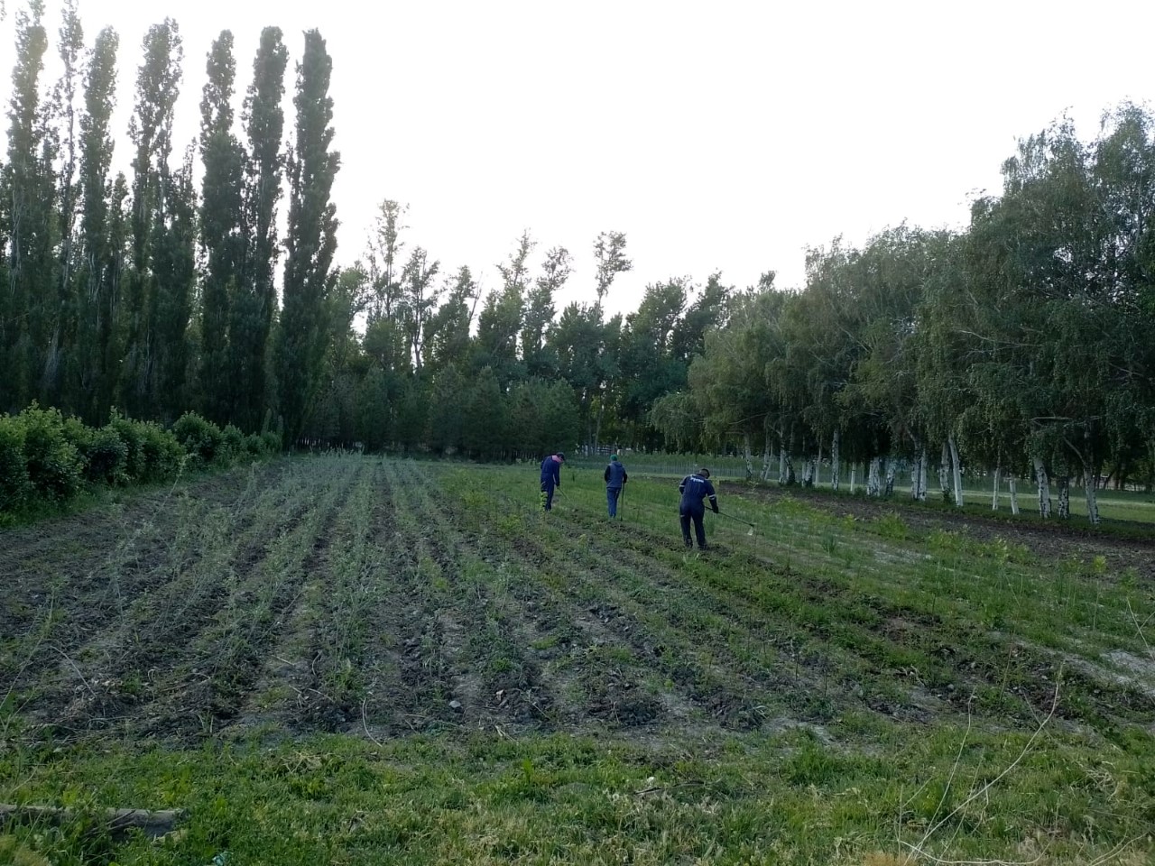 Jardín: una visita por los diferentes viveros provinciales de Neuquén