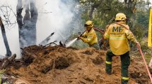 Imagen de Incendios forestales en Tierra del Fuego: la lluvia ayudó, pero el fuego sigue azotando a Tolhuin