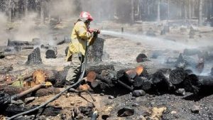 El incendio cerca de Junín de los Andes fue intencional