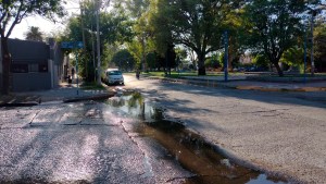 Una importante pérdida de agua genera mal olor y moscas en pleno centro de Roca