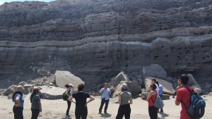 Verano en Viedma y El Cóndor: las excursiones que podés hacer durante las vacaciones