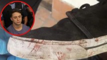 Imagen de Perito confirmó que la huella en la cara de Fernando Báez Sosa fue realizada con la zapatilla que usó Máximo Thomsen