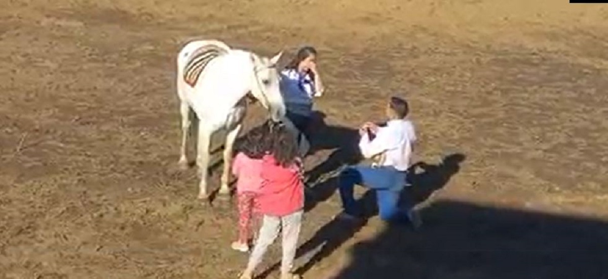 Le pidieron casamiento en la Fiesta del Asado con Cuero en Aluminé. Foto: Captura de pantalla.