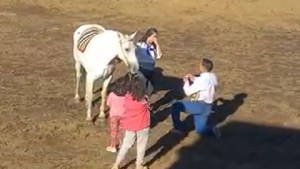 Video: le pidió casamiento en la Fiesta del Asado con Cuero en Aluminé