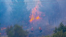 Imagen de Incendio en El Hoyo: hay casi 60 personas evacuadas y sigue el combate del fuego