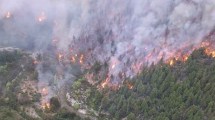 Imagen de El incendio en Cuesta del Ternero está fuera de control y ya consumió 1300 hectáreas