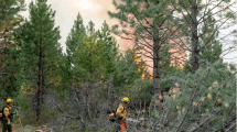 Imagen de Incendio en Cuesta del Ternero: el fuego está en un perímetro de 20 kilómetros