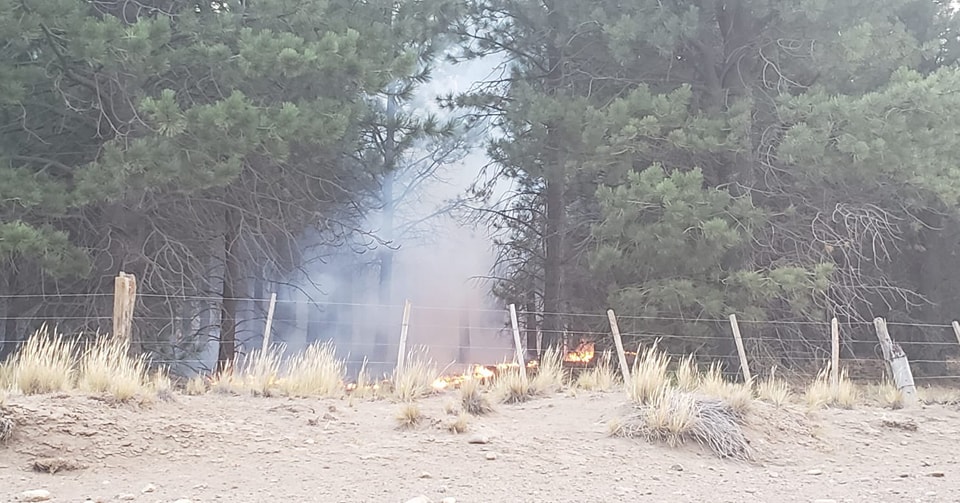 En la jornada de este martes, el incendio había sido controlado pero luego el viento lo reavivó (FM Del Lago)