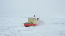 Imagen de Un enorme iceberg se desprendió de La Antártida y temen por el Almirante Irízar