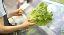 Imagen de Qué se encontró al revisar estudios sobre las verduras como la lechuga