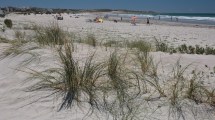 Imagen de Playas Doradas: los precios de alquilar y comer delicias de mar en esta joya de la Patagonia