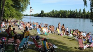 Inhabilitaron un balneario de Carmen de Patagones por invasión de avispas