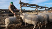 Imagen de Productores de Patagones fueron incluidos en el Programa Nacional LanAr