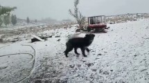 Imagen de Video: así nevó en pleno verano en El Caín, joya de la Patagonia en la Meseta de Somuncurá