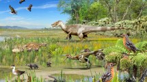 Imagen de Descubren la biodiversidad de dinosaurios y aves que había detrás de la Cordillera