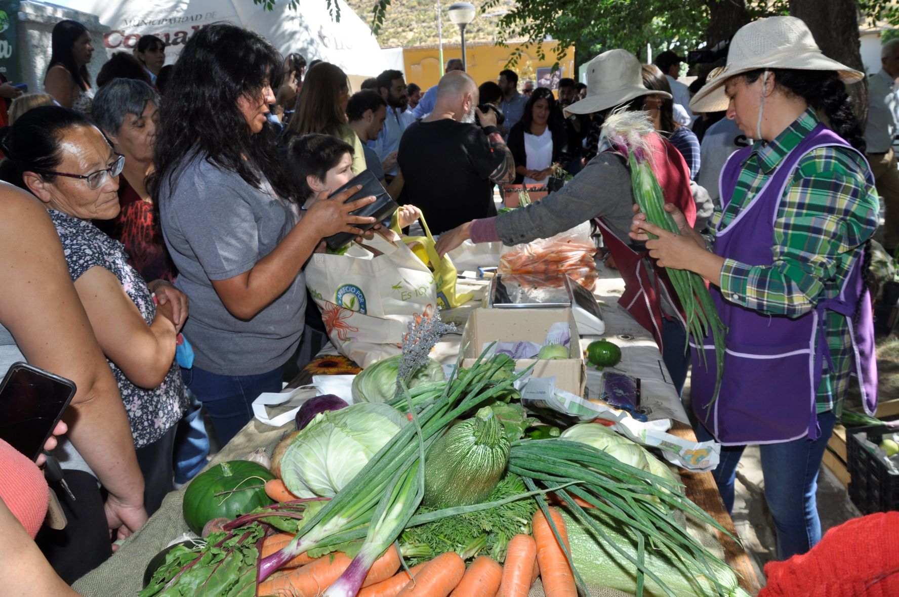 En Comallo, familias producen verduras y hortalizas para abastecer a la comunidad. Foto: José Mellado. 