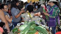 Imagen de Exitosa producción de verduras y hortalizas en la Región Sur