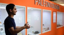 Imagen de Explorando la paleo