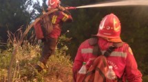 Imagen de Un centenar de brigadistas combaten un incendio forestal en Epuyén, Chubut