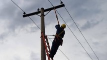 Imagen de Un hombre murió y sospechan que intentaba robar cables cerca de Chichinales